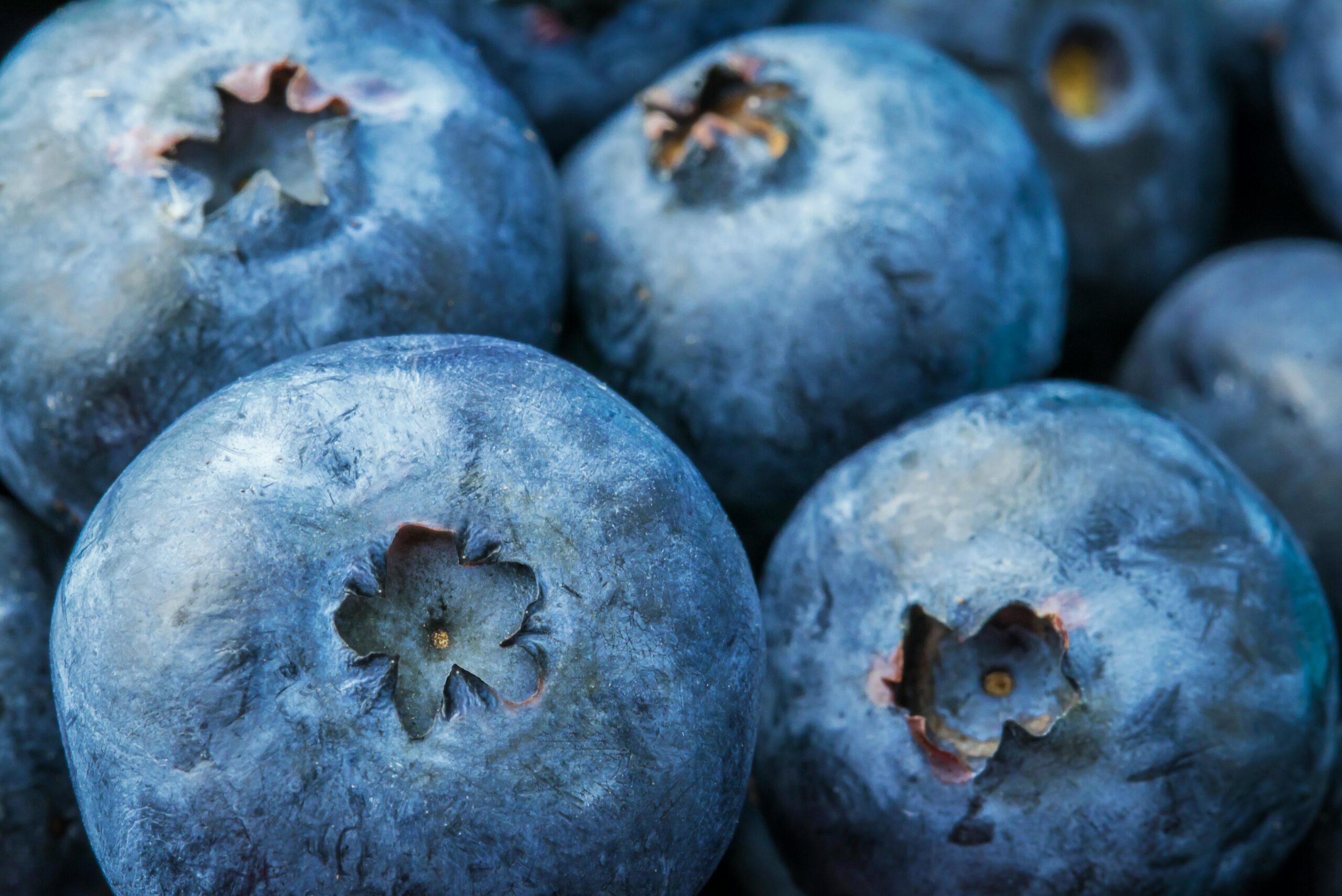 Blueberry Fruit Quality Peru case study fresh blueberries